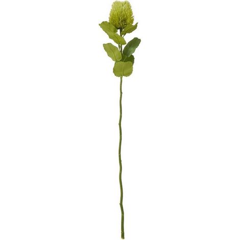 Banksia (Single Stem Flower) - Plastic - Height 59 cm - Green