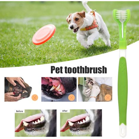 Brosse à dents pour chien triple tête soins dentaires confortable pratique accessoires pour animaux