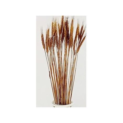 Fleurs épis dorés, 65 cm (lot de 10)