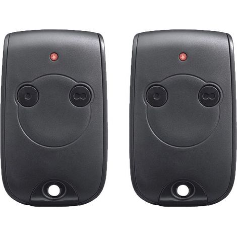 Télécommande Keytis RTS 2 canaux 433.92MHZ Pour contrôler 2 moteurs RTS de portails et portes de garage (1/4)