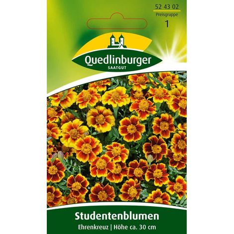 Quedlinburger Studentenblumen Ehrenkreuz - Blumensamen (1/2)