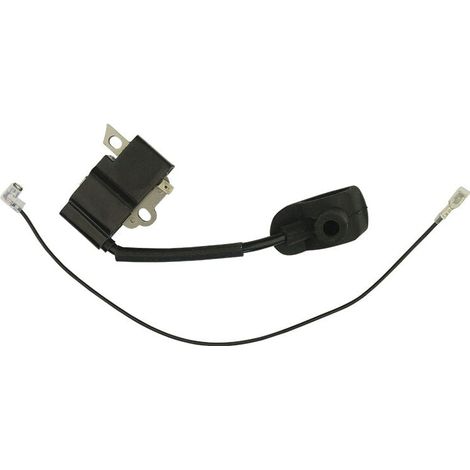 Bobine de module d'allumage, adaptée au module haute tension STIHLBR500 Module de bobine d'allumage STIHLBR550 (1/4)