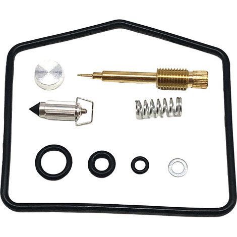 Kit orf réforrtiorn ctorrburtorteur - cormptortibgivthere KZ305 - F43 (1/4)