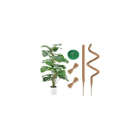 2 Pack Monstera Tuteur 120cm en Coco, Flexible en Mousse avec Accessoires, Fibre de Coco pour Plantes Grimpantes Indoor