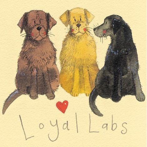 Magnet FM15 Labrador