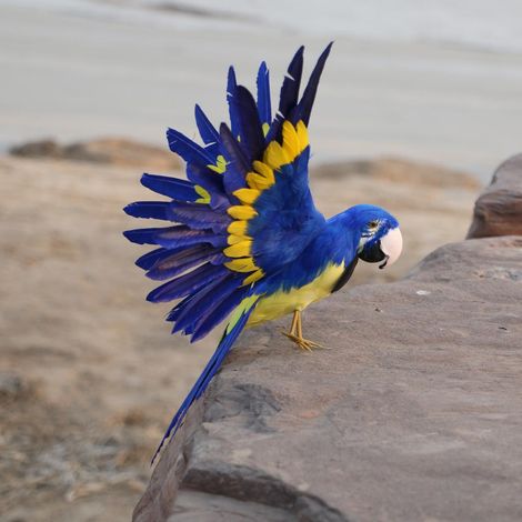 Figurine De Jardin Oiseau Animal à Plumes Artificielles Décor Perroquet Bleu (1/5)