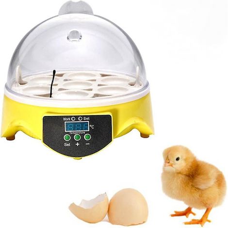 Incubateur automatique pour œufs de volaille avec contrôle de la température, Perfect-max, pour l'incubation à domicile et l'élevage contrôlé de volailles.-AquaForge (1/4)