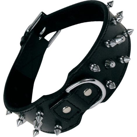 Collier pour Chien Gloria Noir Clous (60 cm)