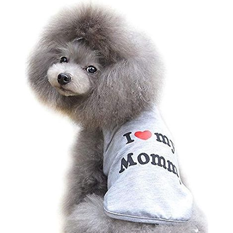 t - Shirt Chat Et Chien En Coton (m, Grey Mom) - T - Shirt D't Pour Petits Et Moyens Chiens - Chihuahua, Caniche Et Jouets (1/5)