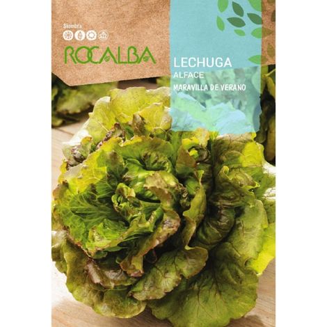 Rokalba Seed Lechy Summer Wonder 500g