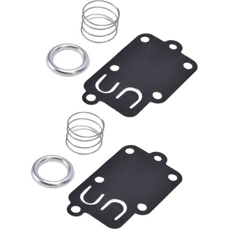Kit de Joints pour Carburateur 5021K - 2Set Compatible Moteurs 2hp à 5hp à Arbre Horizontal 272538 (1/5)