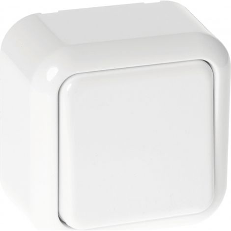 Doble interruptor ancient (1 módulo) en blanco