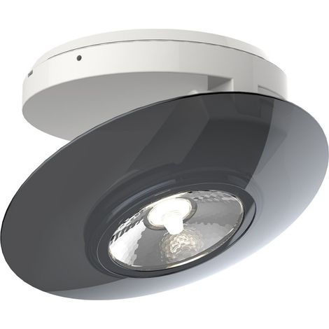 Xanlite – Spot en saillie LED orientable 300 lumens – Blanc chaud – Consommation 4,5W (équiv. 40W) – Angle 36° – SPESG350