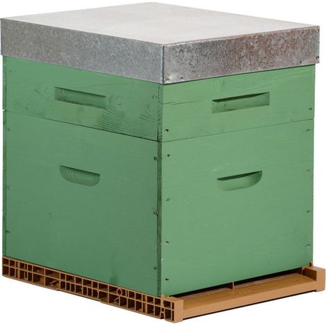 Ruche colorée Dadant 10 cadres + Hausse & Fond aéré - Plusieurs modèles disponibles - Olive
