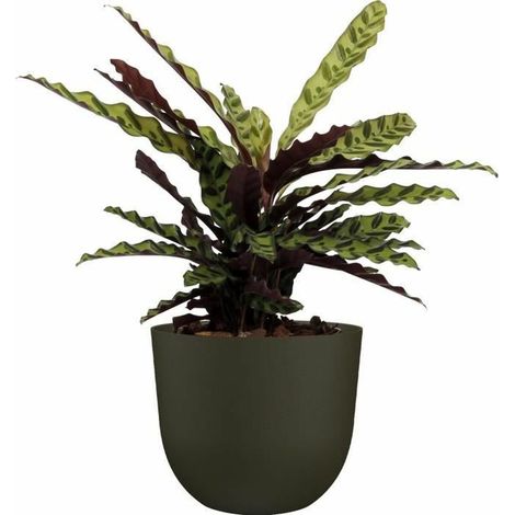 Pot Havana Vert Mousse 40cm Design Naturel, Résistant Et Léger - Artevasi (1/3)