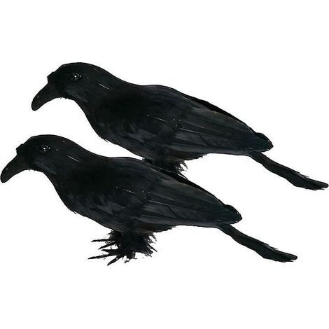 Stück schwarze Vogel-Dekoration für Halloween