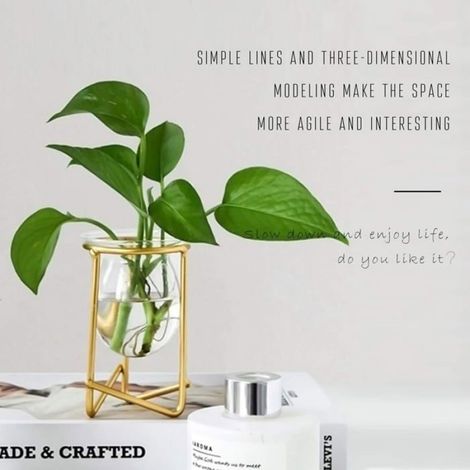 Supports pour plantes aériennes en métal doré pour la maison, lot de 3 mini pots géométriques, terrariums, vases en verre, présento (1/5)