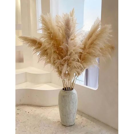 10 Herbes de Pampa (40 inch/100 cm), XXL Herbe de Pampas pour Décoration Bohémienne Salon Table Chambre Mariage Salle de Bain Vase (1/5)