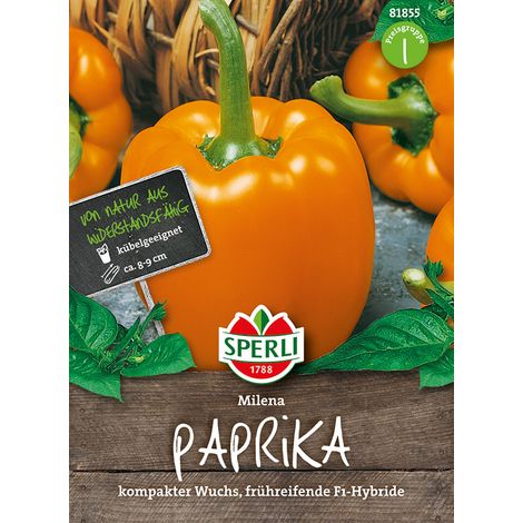 Sperli Paprika Milena F1 - Gemüsesamen (1/2)