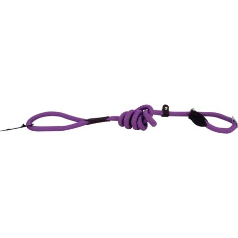 Laisse-lasso réfléchissante Run Around violette Taille : T1