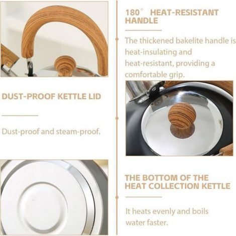 Bouilloire - Acier Inoxydable 201 - Capacité 2 L - Design Rétro - Sifflet Automatique - Pour Cuisinière Gaz Et Induction (1/5)