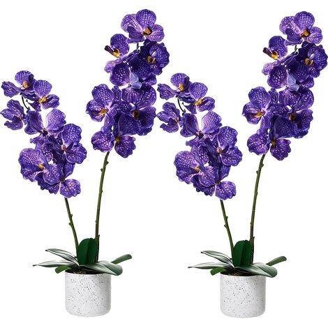 Orchidée artificielle et arbre de magnolia, fleurs réalistes, décoration élégante, Violet 80cm 2Pcs (1/2)
