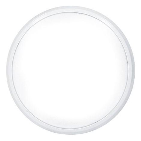 Luminaire thorn Eco WAND/DECKENL. 20 watts polycarbonate
