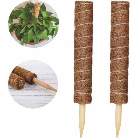 2 Pices Tuteur Plante,Tuteur Coco, Poteau De Coco, Baton De Coco pour La Maison Jardin Plante Grimpantes Extension De Support De Plante (1/5)