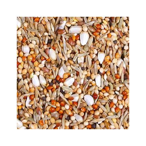 Jr Farm Big Parakeets - cibo per calopsitte e altri pappagalli di medie dimensioni - arricchito con gusci di ostriche 1 kg (1/3)