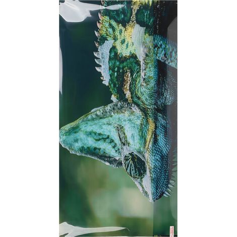 Fond d'aquarium en PVC à effets 3D, décoration polyvalente pour aquarium (91 x 50 cm / 35,8 x 19,7 pouces). (1/5)