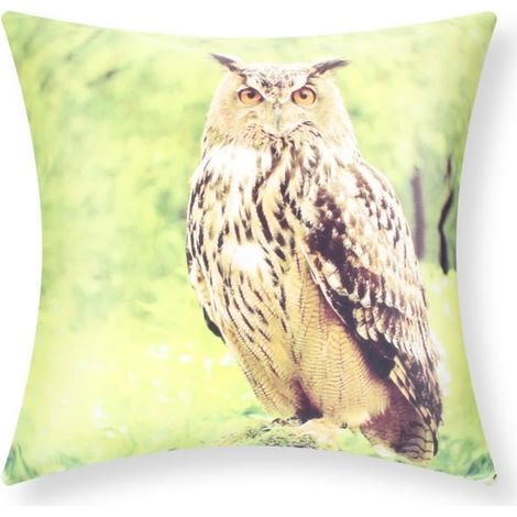 Housses de coussin - AVIZAR - Lot de 2 - 40x40 cm - Motif Hibou - Multicolore (1/5)
