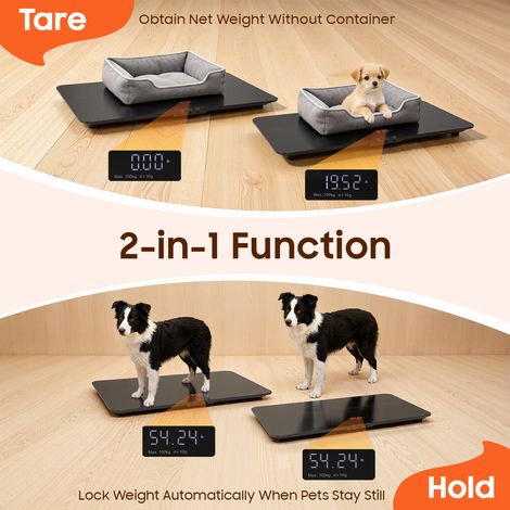 YISSALE – Balance numérique pour animaux de compagnie - Jusqu'à 100 kg - Précision de 10 g - Grande plate-forme - Affichage LCD - 3 modes de pesée - Fonction tare - Pour chiens, chats et petits animau (1/5)