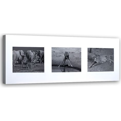Tableau sur toile Afrique Animaux Noir Blanc 90x30 (1/5)