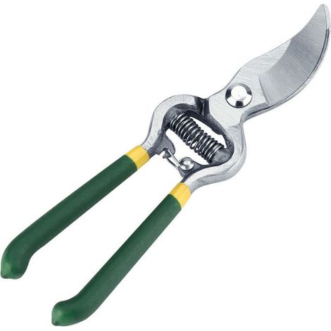Sécateur Robust pour Arbres Fruitiers et Bonsaïs - Outil de Greffage (Vert) - 1 Pièce