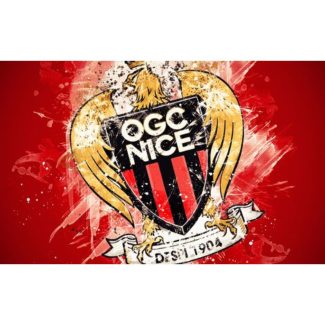 Papier peint panoramique Foot / Football - OGC Nice - 130 cm x 81 cm (1/2)