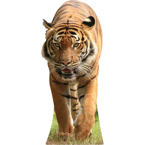 Figurine en carton Le Tigre - Haut 130 cm (1/4)