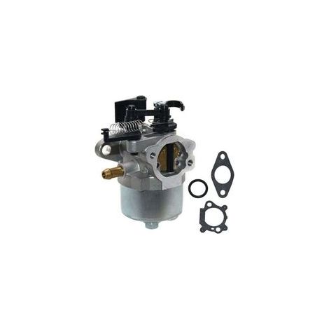 Kit carburateur pour tondeuses , XU,Briggs & stratton Dov 700 750 792038, produit qualité supérieure, durable et fiable, matériaux sélectionnés, conforme normes, easy à utiliser - (1/4)