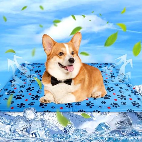 Dog & Cat Cooling Mat Cooling Cushion for Dogs, Cooling Mat for Pets, Waterproof and Easy to Clean, Suitable for Small and Large Companion Dogs, 50×40cm