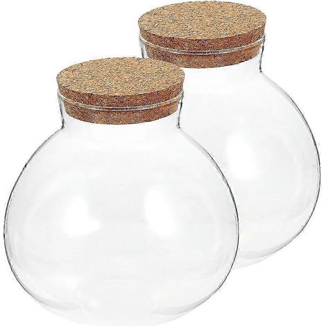 Terrarium sphérique fermé en verre bouteille écologique décoration et rangement lot de 2 (1/5)