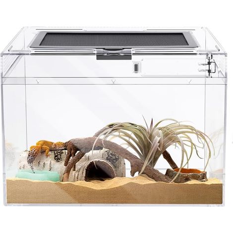 Terrarium pour Reptiles,402025cm Transparent Boîte d'élevage en Acrylique pour Reptiles avec Trous d'air, pour Araignées, Grenouilles Cornues, Coléoptères, Lézard et Autres Reptiles (15.7810in) (1/5)