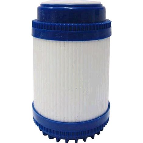 Cartuccia filtro acqua a carbone attivo 10"