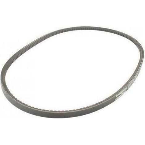 Courroie Trapézoïdale Crantée SPZX - Section 9,5 mm - Longueur Extérieure 900 mm - 1 Pièce (1/2)
