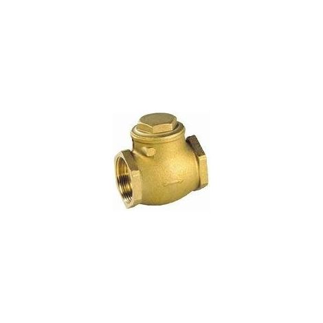 Clapet simple battant laiton femellle BSP à siège EPDM PN10 - Série 302 50x60