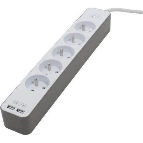 CHACON Bloc multiprise 5 prises 16 A avec 2 ports USB et câble 1,5 m HO5VV-F 3x1,5 mm² blanc et brun (1/5)