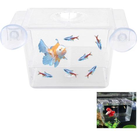 Acryl-Zuchtbox, Saugnäpfe, isolierte Aufzuchtbox, Garnelen, Guppys, Kampffische, Aquarium (1/5)