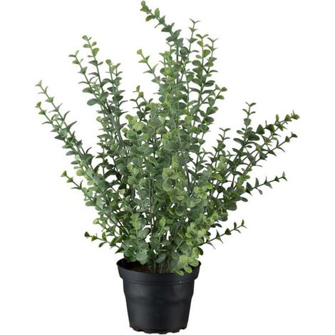 Eucalyptus artificiel en pot H 40 cm D 28 cm original et superbe (1/2)