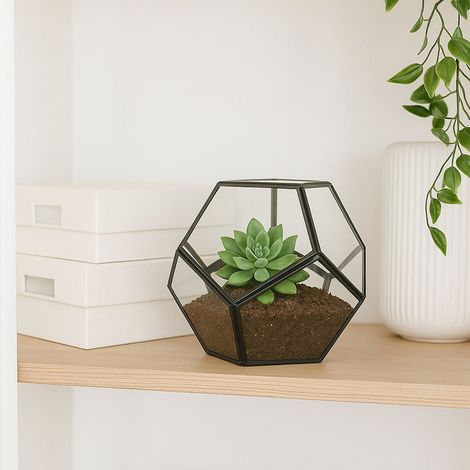 Terrario geometrico in vetro design aperto per piante da interno