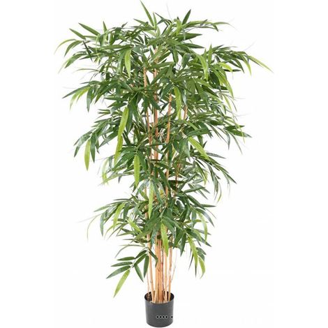 Bambou artificiel Yang Feuillage long H 180 cm - dimhaut: H 180 cm