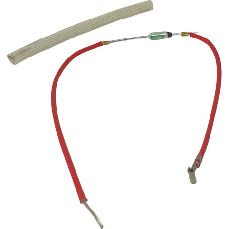 Polti TCO termo fusibile termico 240°C 250V scopa a vapore Vaporetto 3 Clean (1/2)