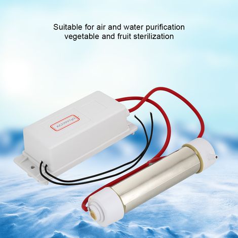 Générateur d'ozone, ozoniseur, ioniseur, purificateur d'air et d'eau, machine de stérilisation des fruits et légumes 2 g (1/5)